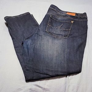 INC straight leg jeans plus size 22